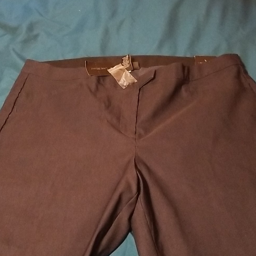 Brand new women's casual ankle pants